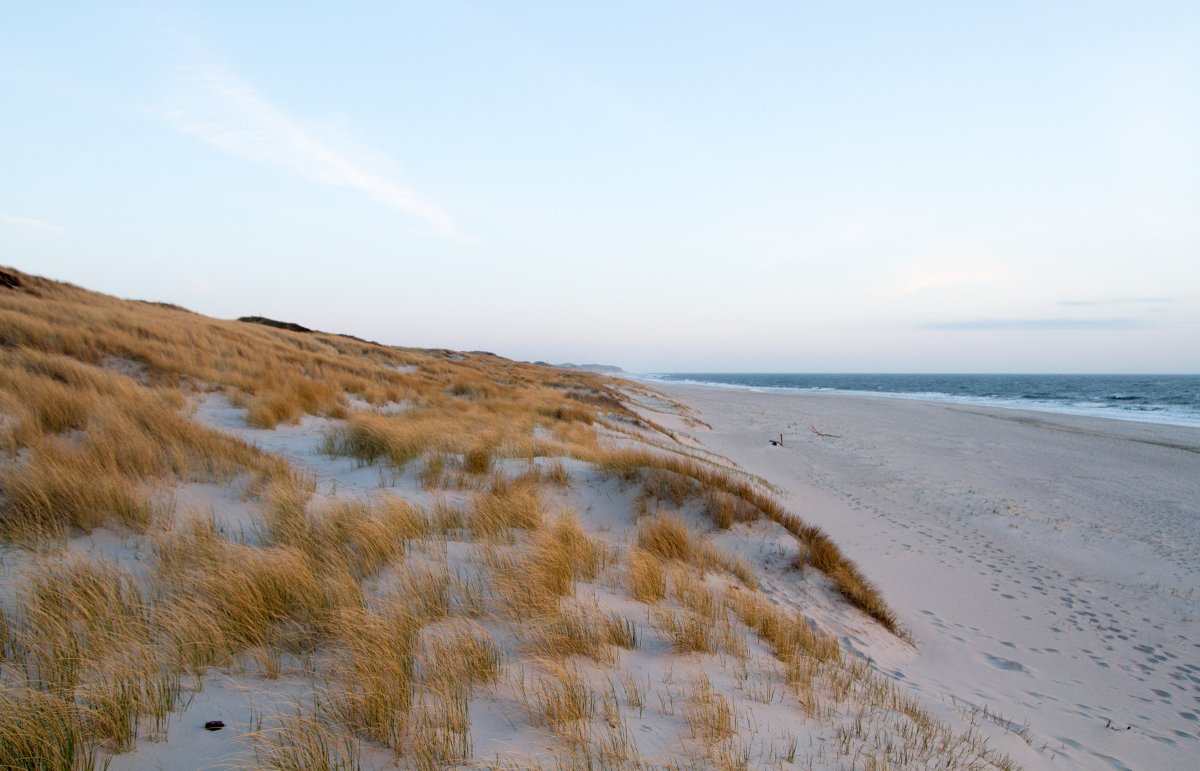 Salt Coast