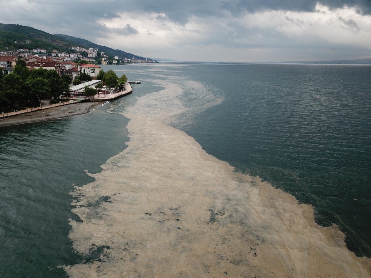 Мраморное море форо