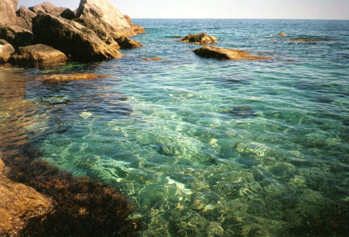 Черное море чистое в Крыму Тарханкут
