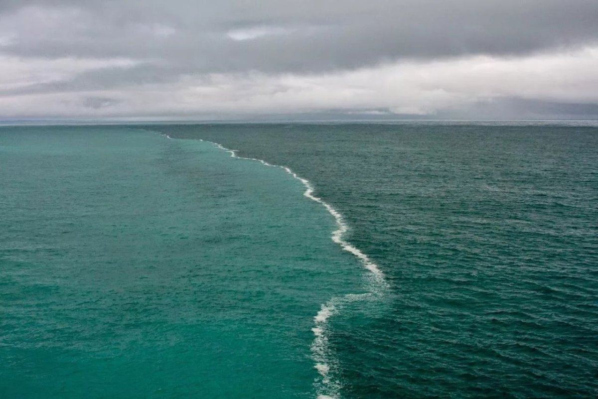Скаген Дания два моря