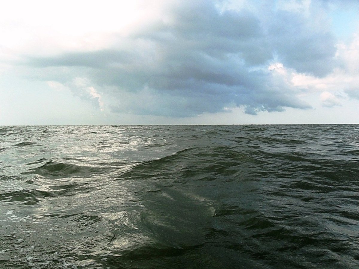 Волнение черного и Азовского моря