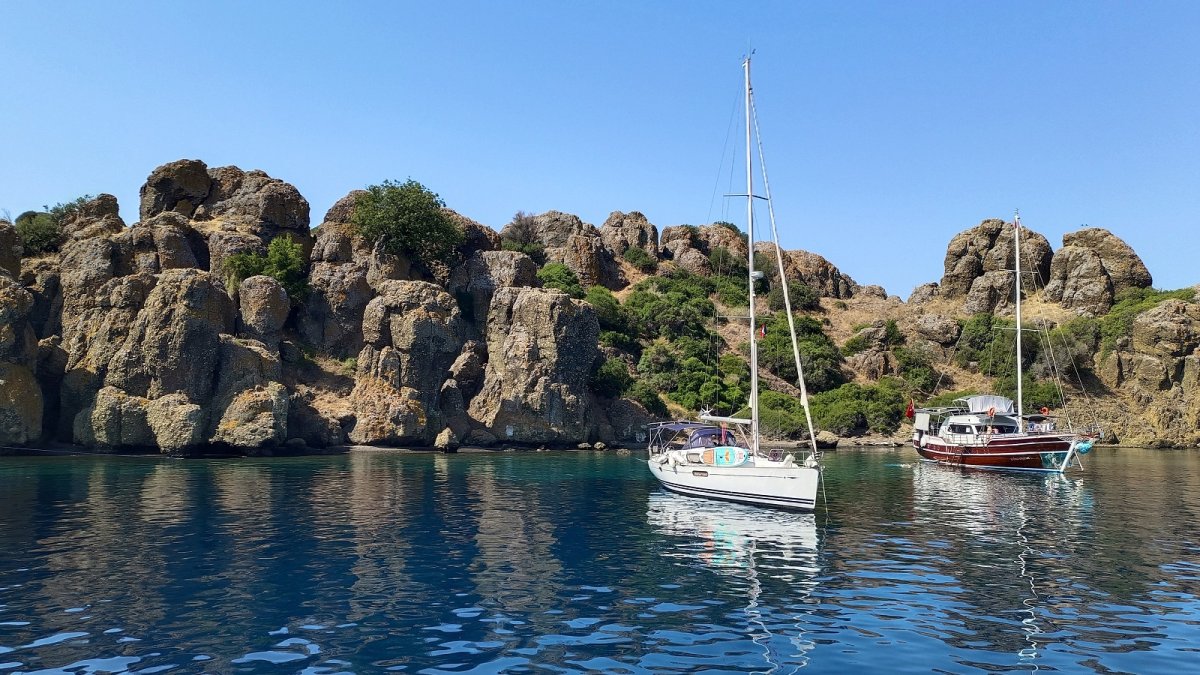 Рыбы Эгейского моря