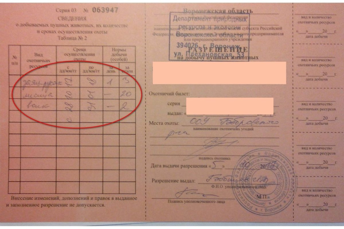 Разрешение на добычу зайца