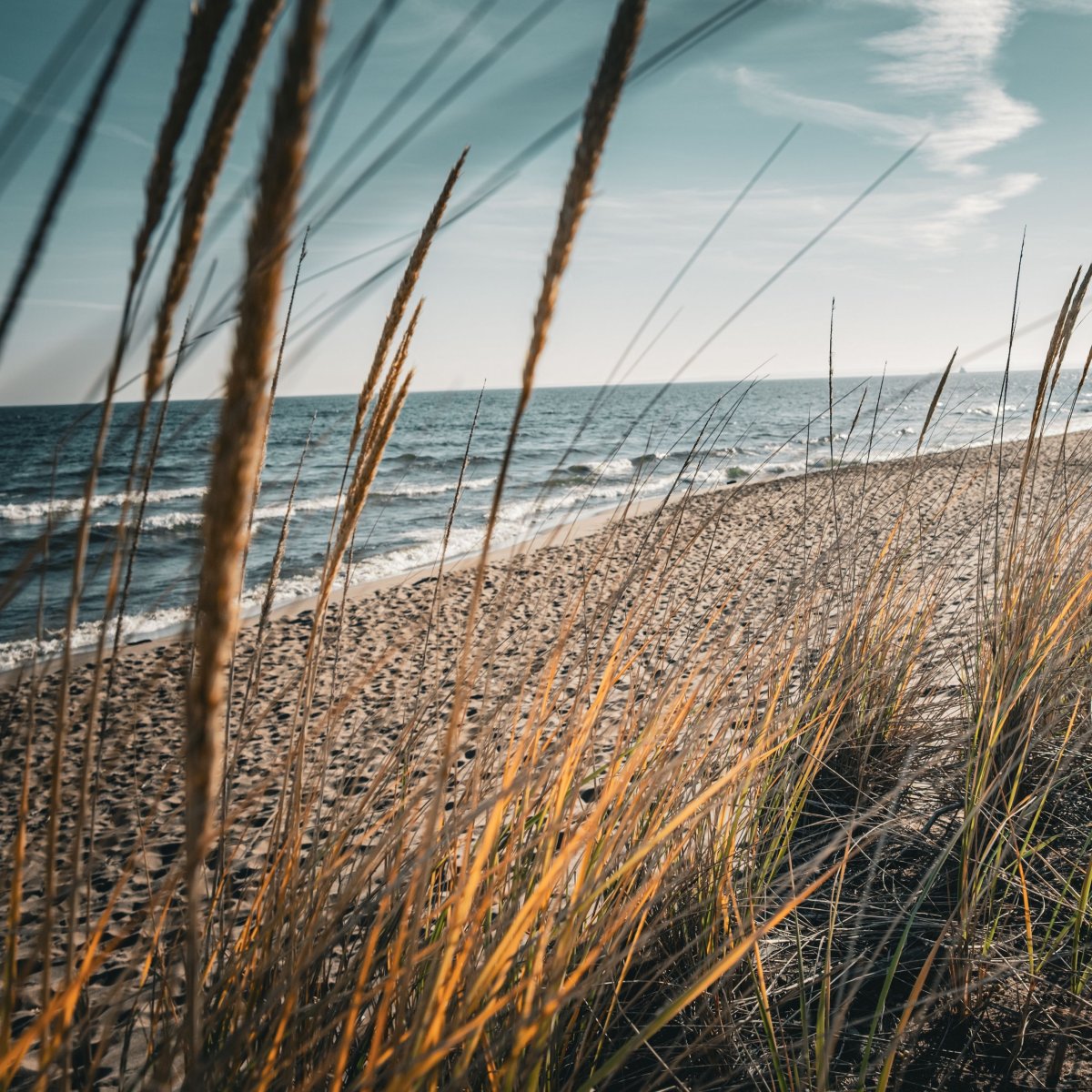 The Sea