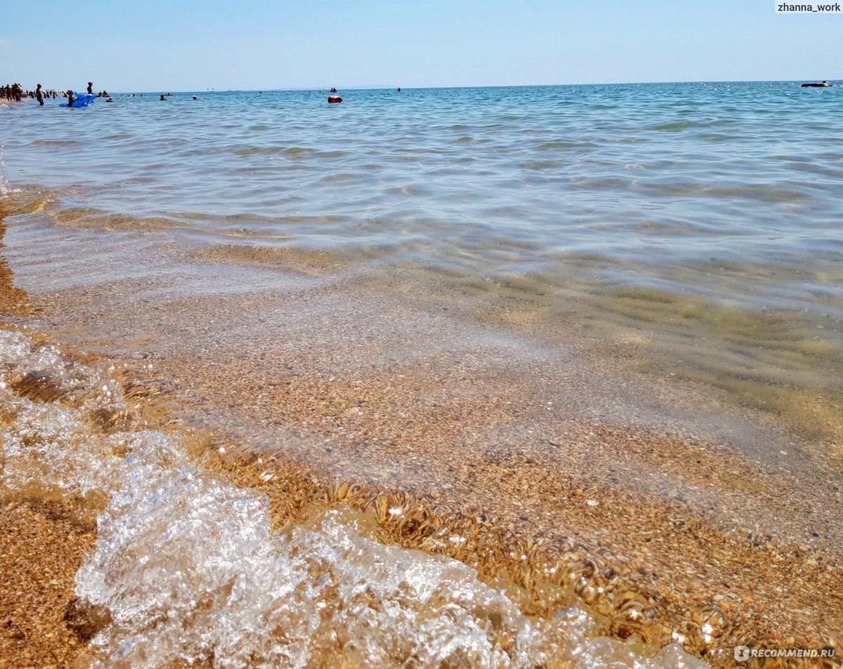 Берег черного моря