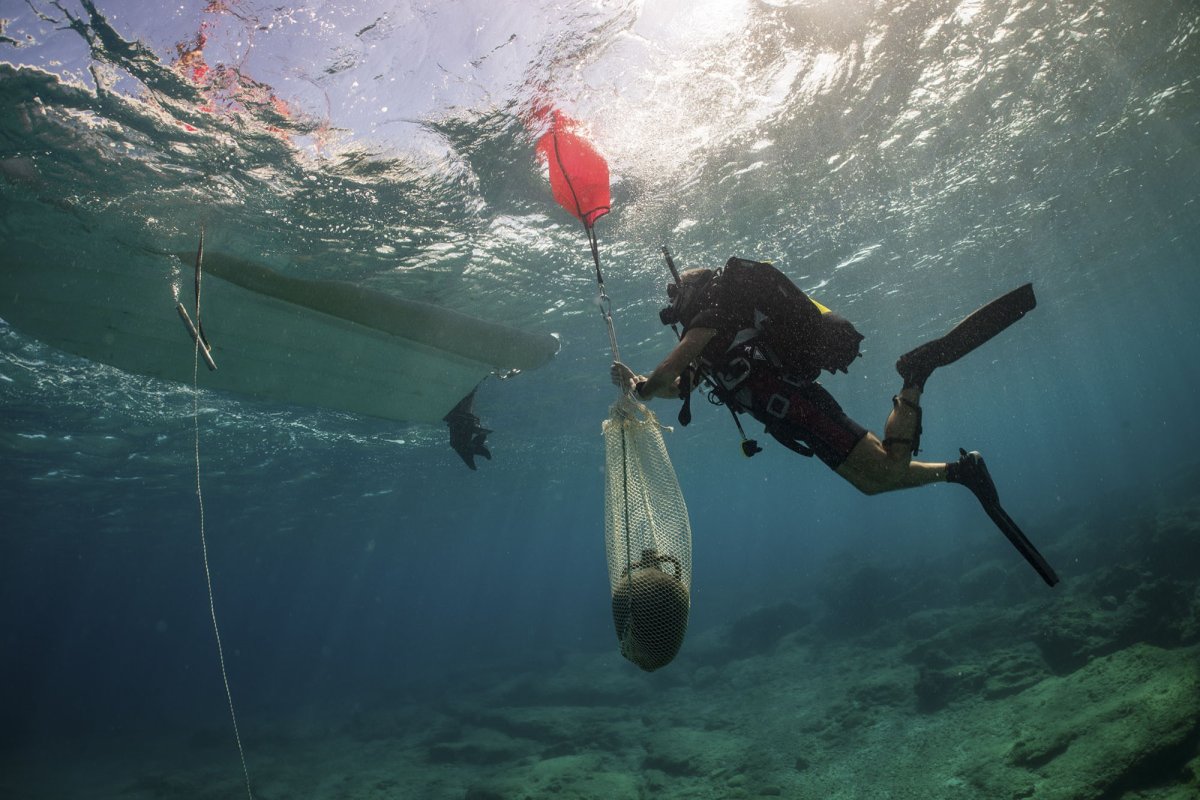 Эгейское море затонувшие корабли