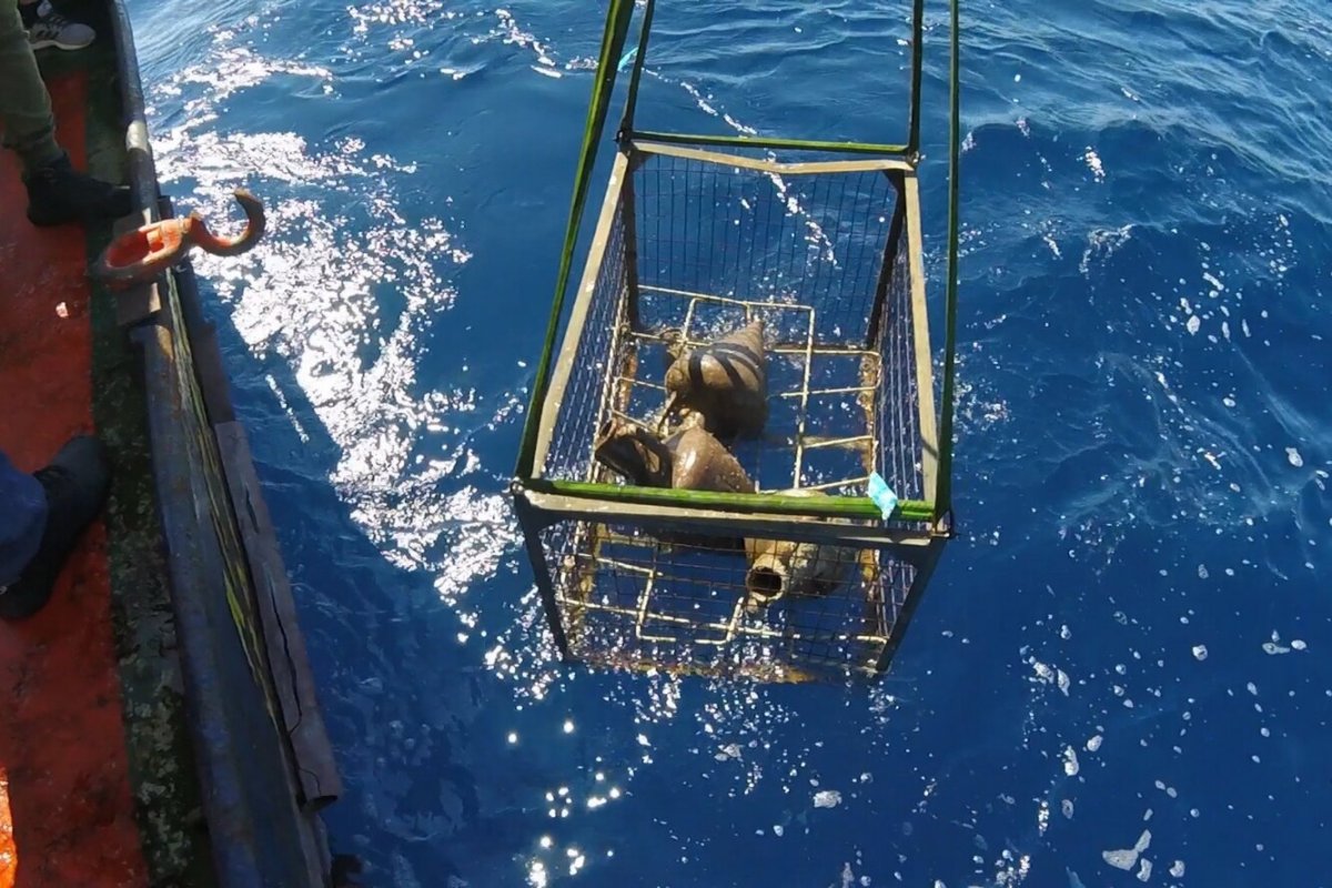Дно Эгейского моря