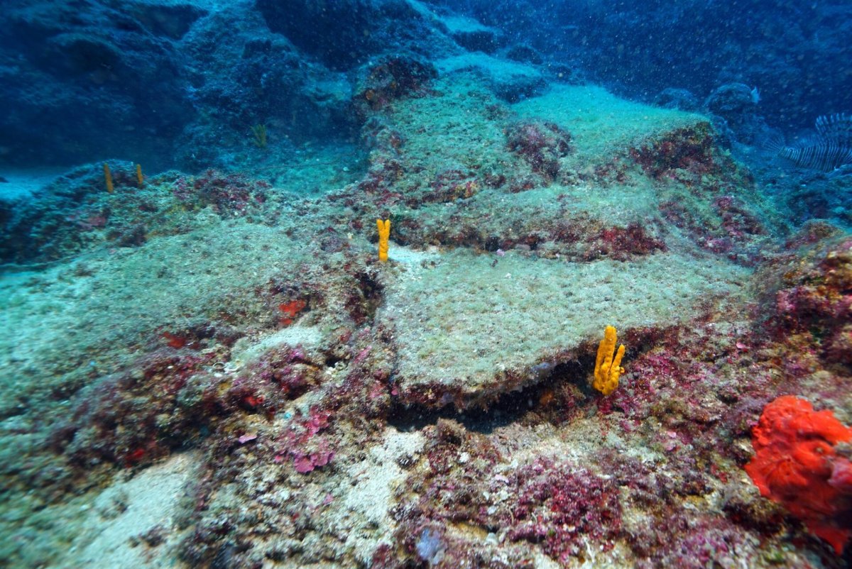 Подводный мир Средиземного моря Турция