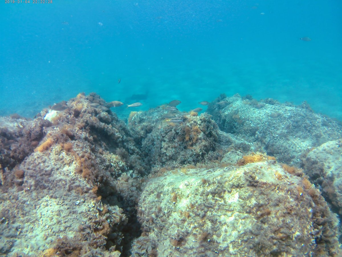 Дно Эгейского моря