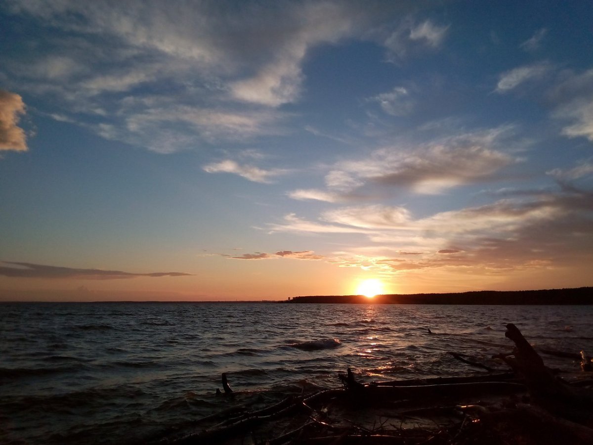 Заря Новосибирское водохранилище