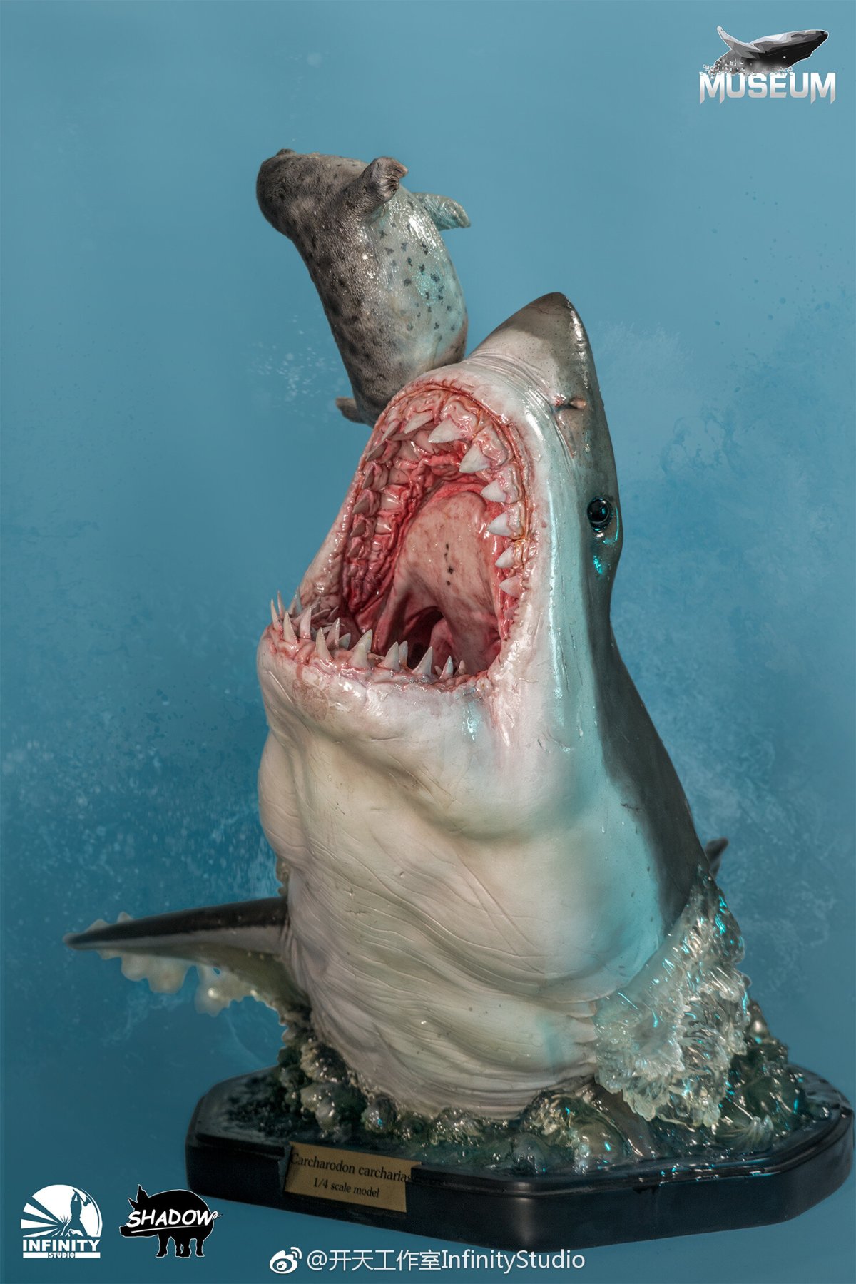 Акула Carcharodon carcharias