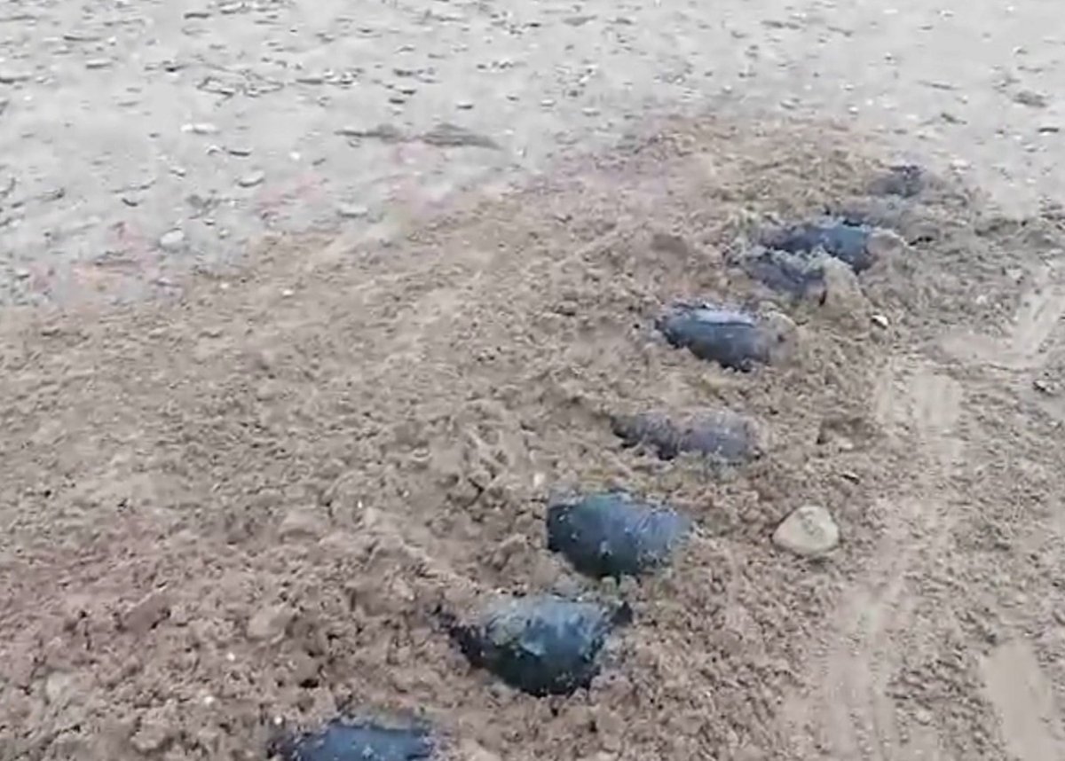 Бомбы в Азовском море
