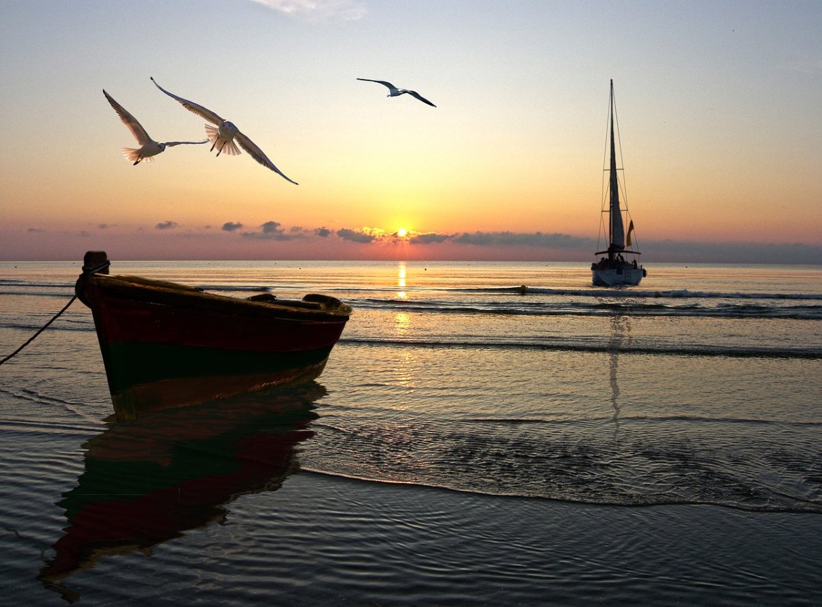 Чайки, корабль и море