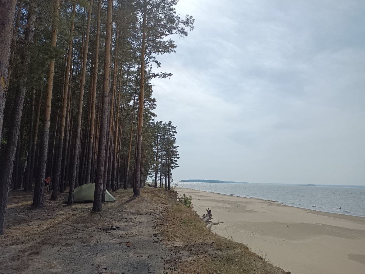 Караканский Бор в Новосибирской области