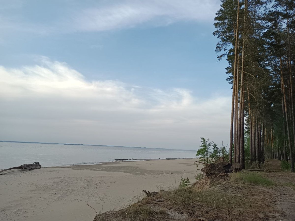 Караканский Бор в Новосибирской
