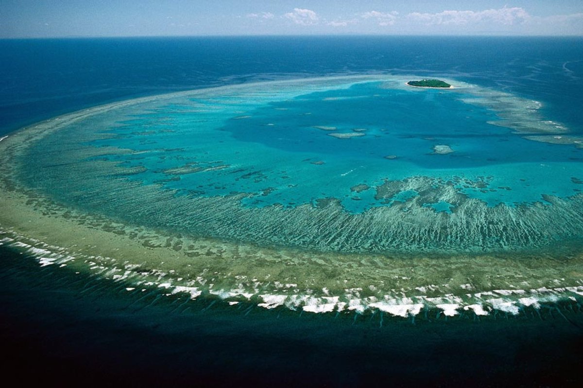 Большой Барьерный риф (the great Barrier Reef)