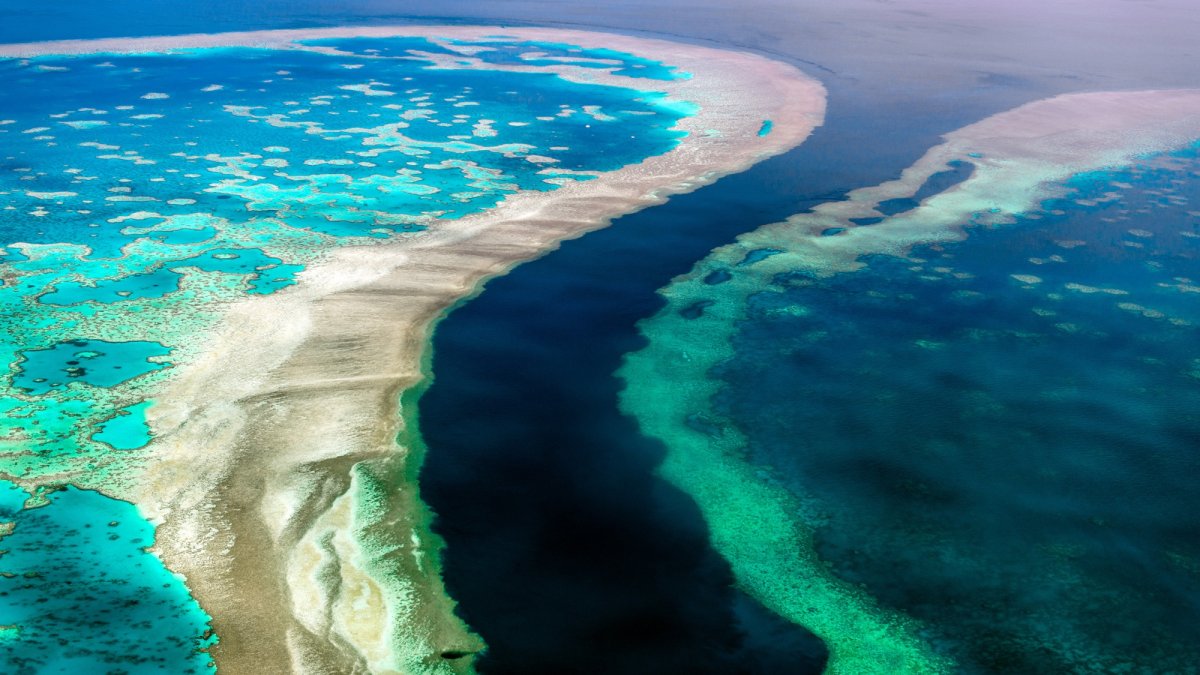 Большой Барьерный риф (the great Barrier Reef)