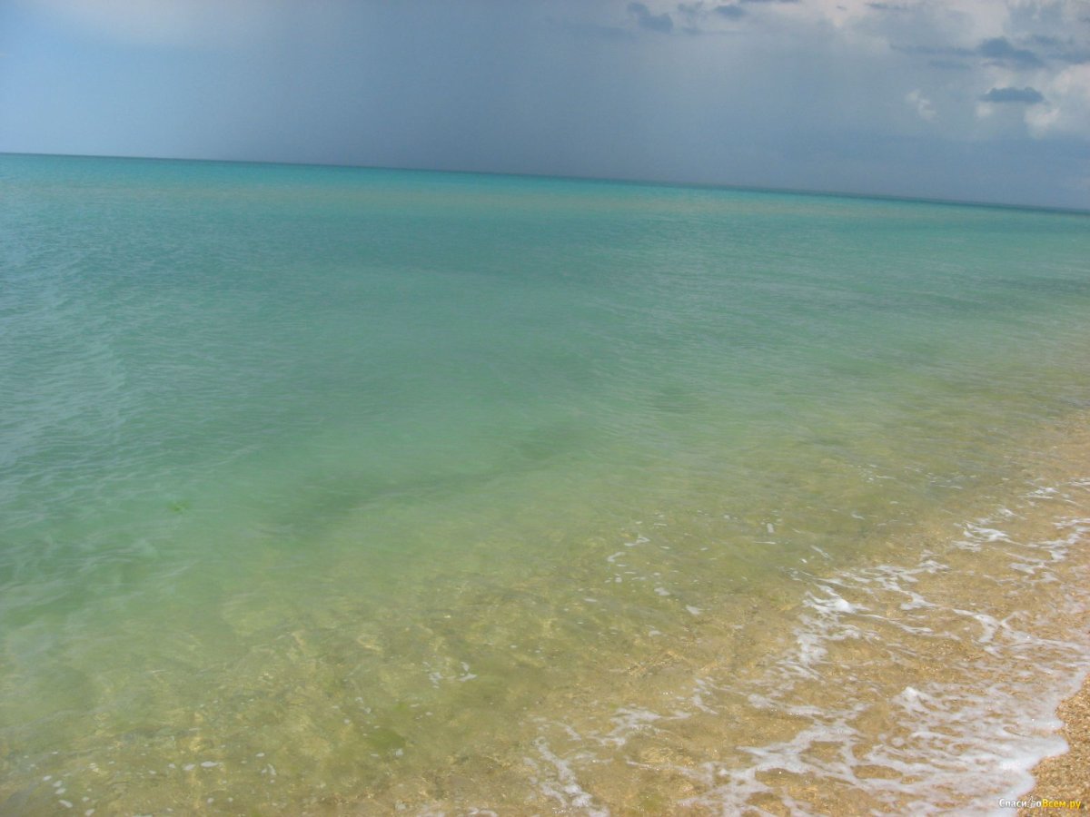 Азовское море цвет воды