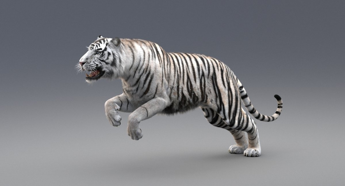 Бенгальский тигр 3d