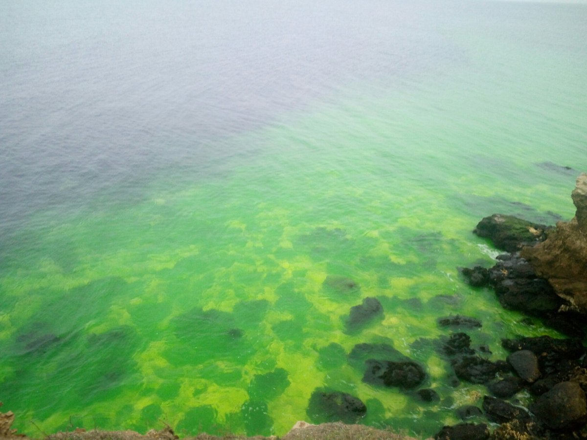 Черное море