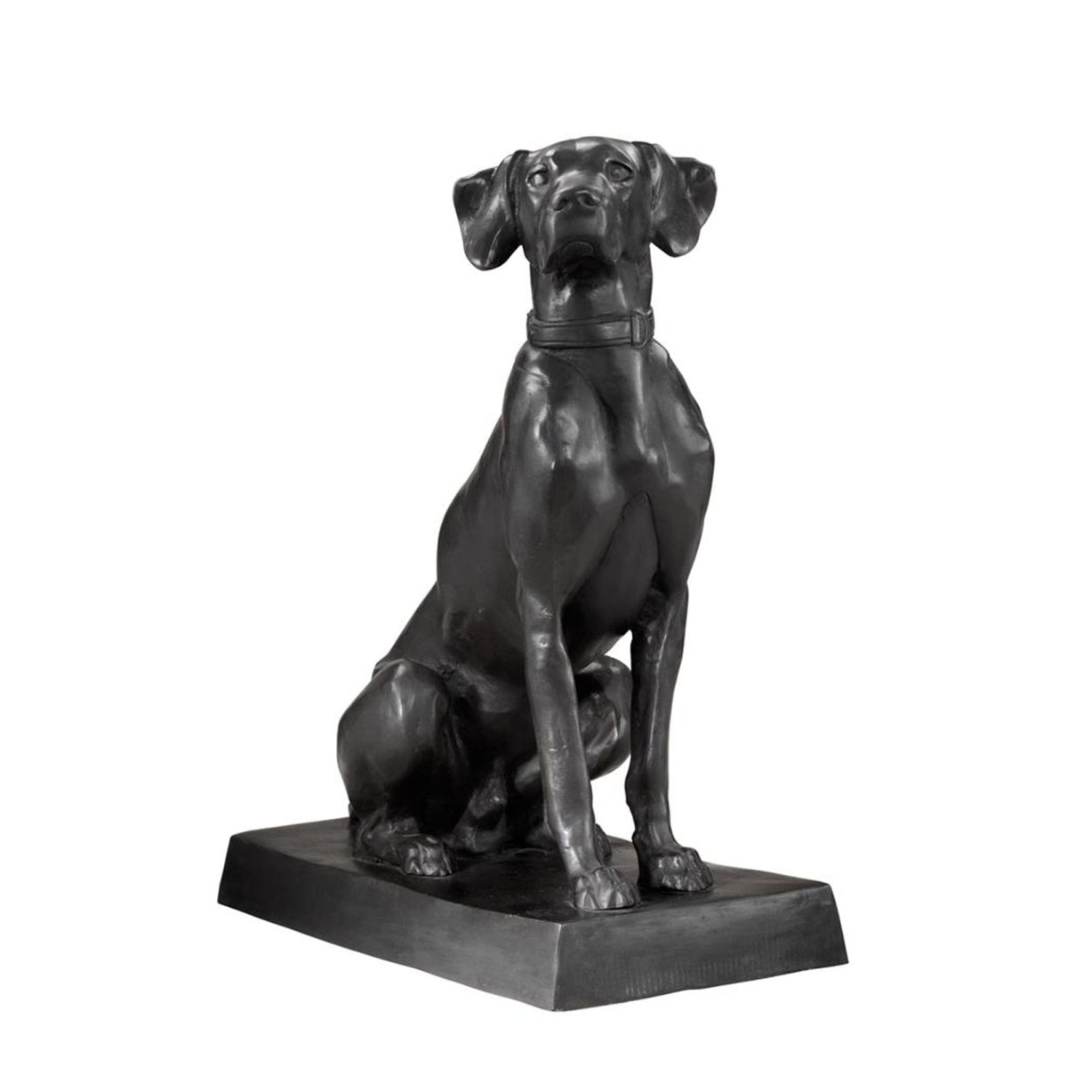 Dogs Pointer Hound 109329