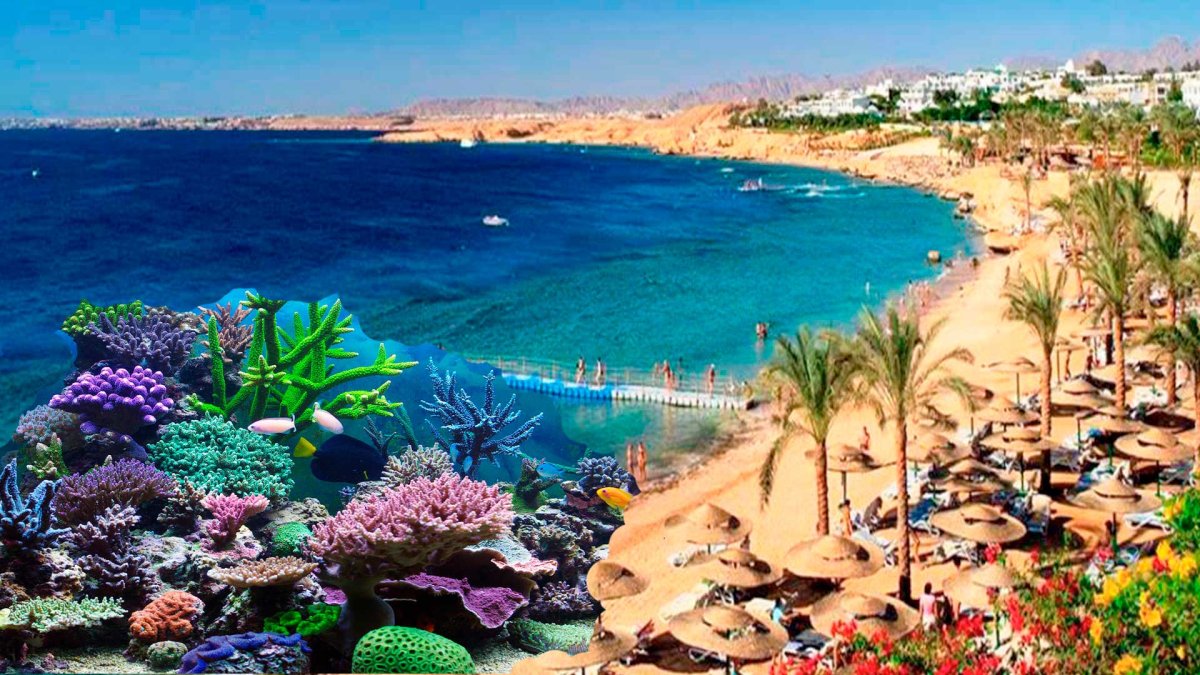 Шарм-Эль-Шейх море
