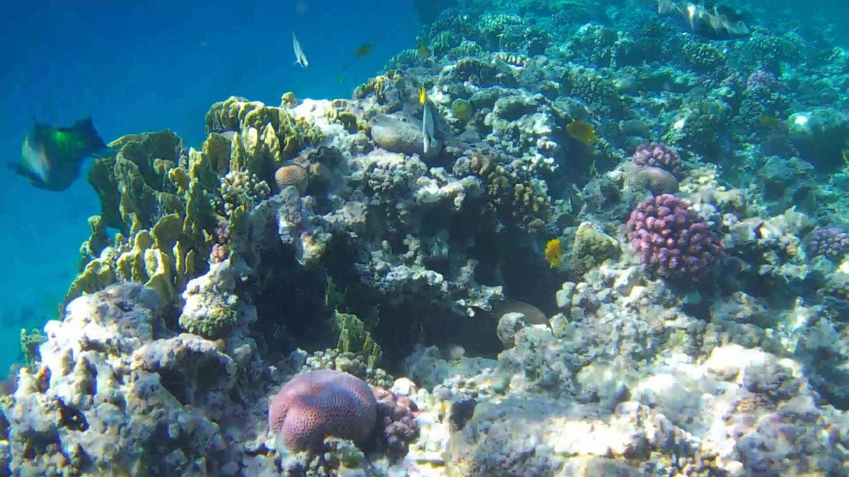 Красное море картинки на рабочий стол