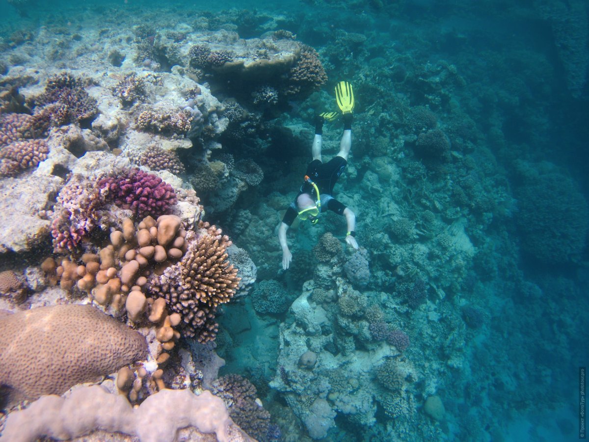 Красное море информация