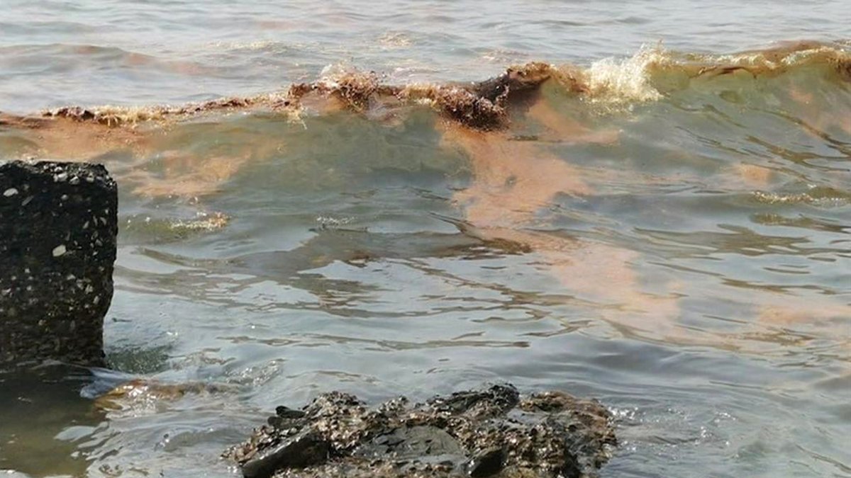 Разлив нефти в черном море 2021