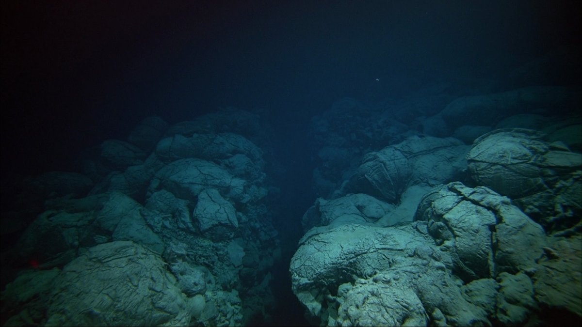 Дно черного моря сероводород