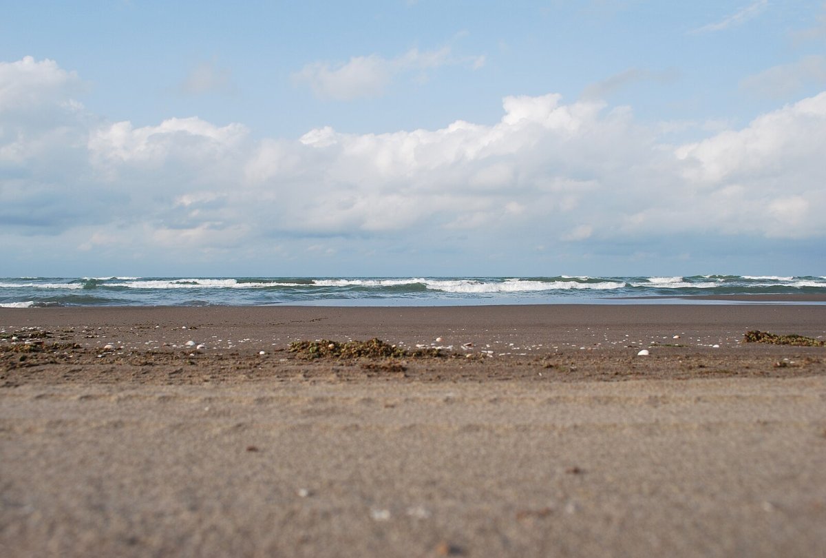 Caspian Sea Shrink
