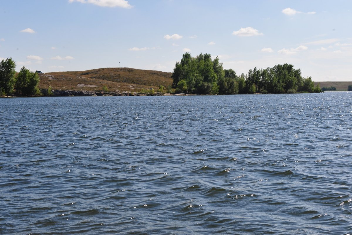 Остров на Ириклинском водохранилище