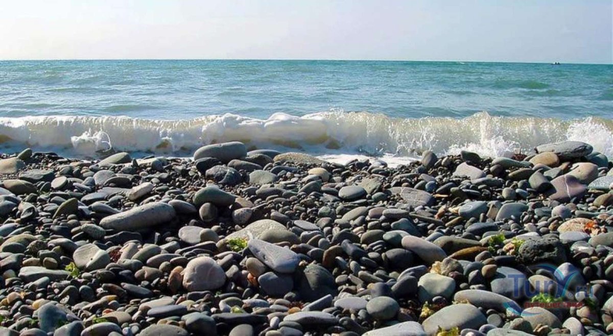 Берег черного моря Сочи