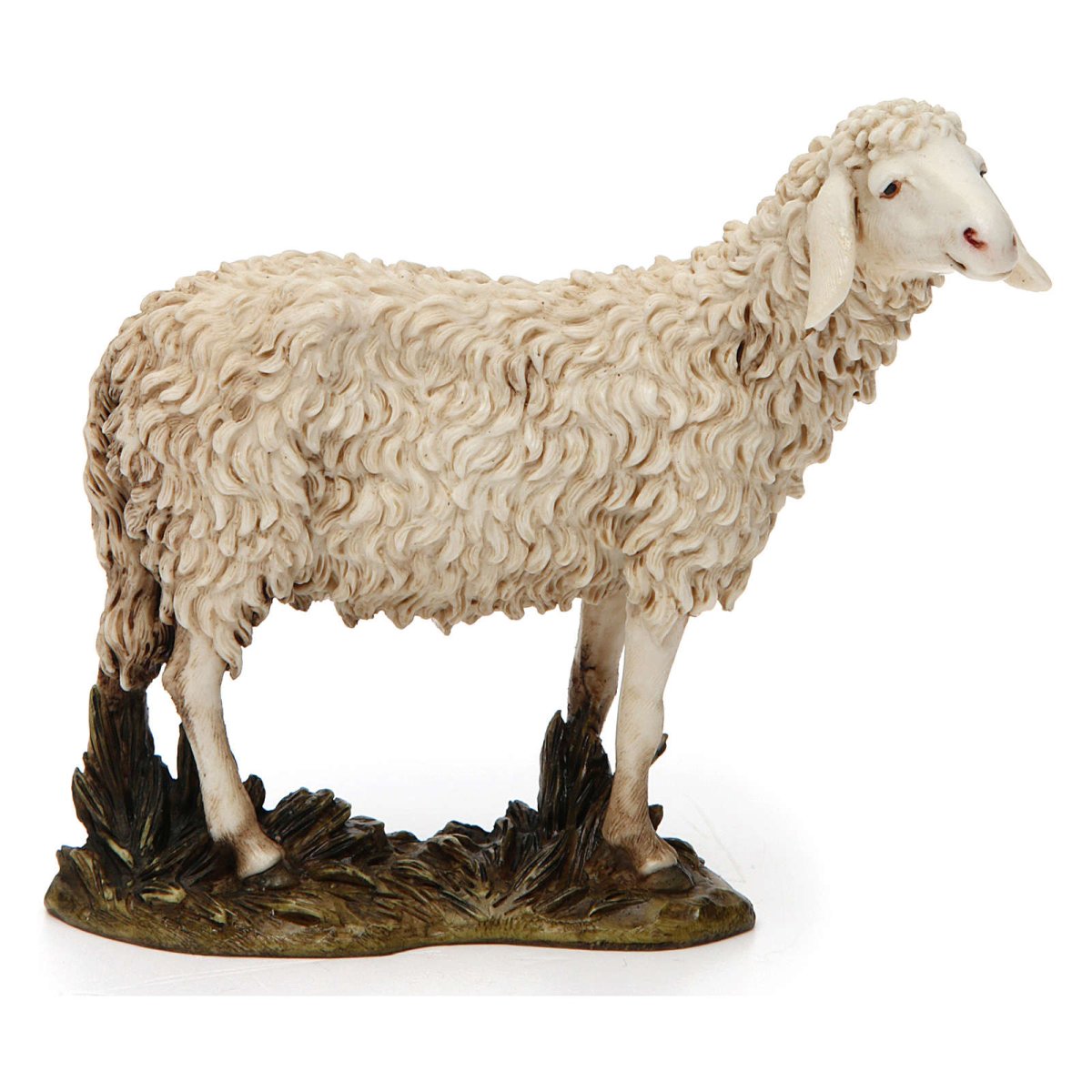 Michelangelo Sheep