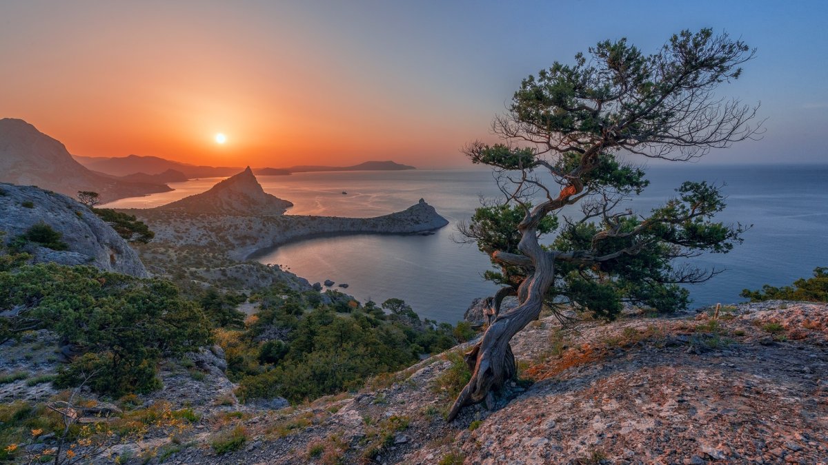 Крым море горы сосна мыс Капчик