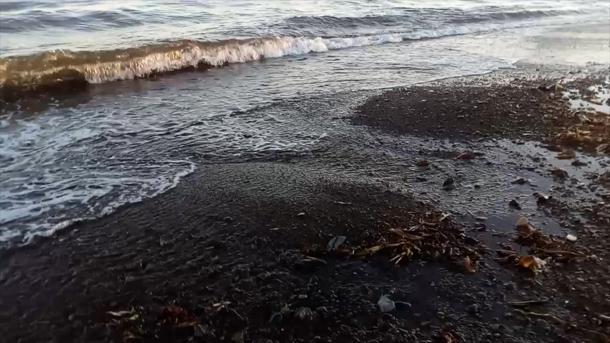 Сахалин море