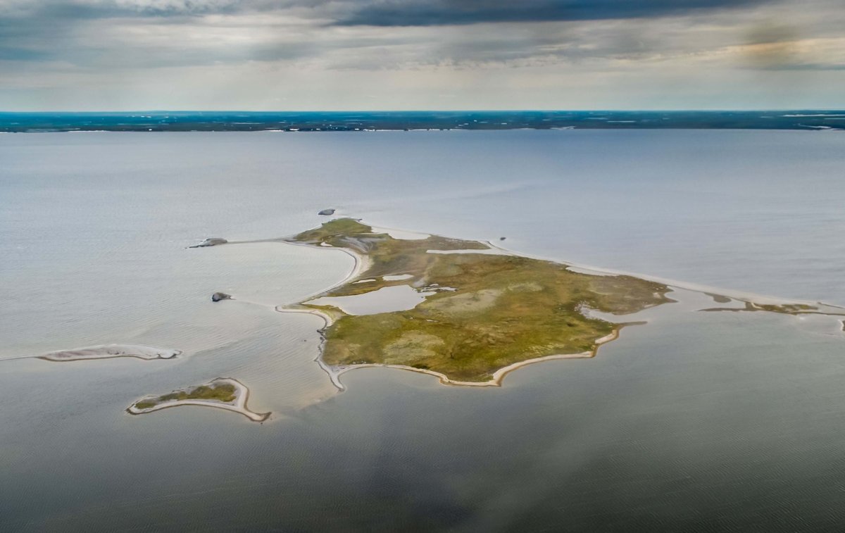 Бугрино Колгуев