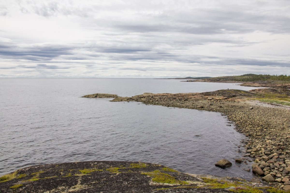 Кольский белое море