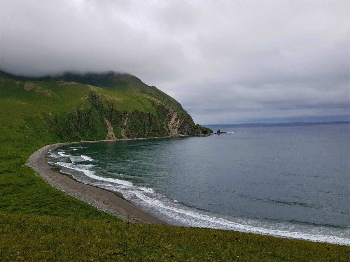Берингово море