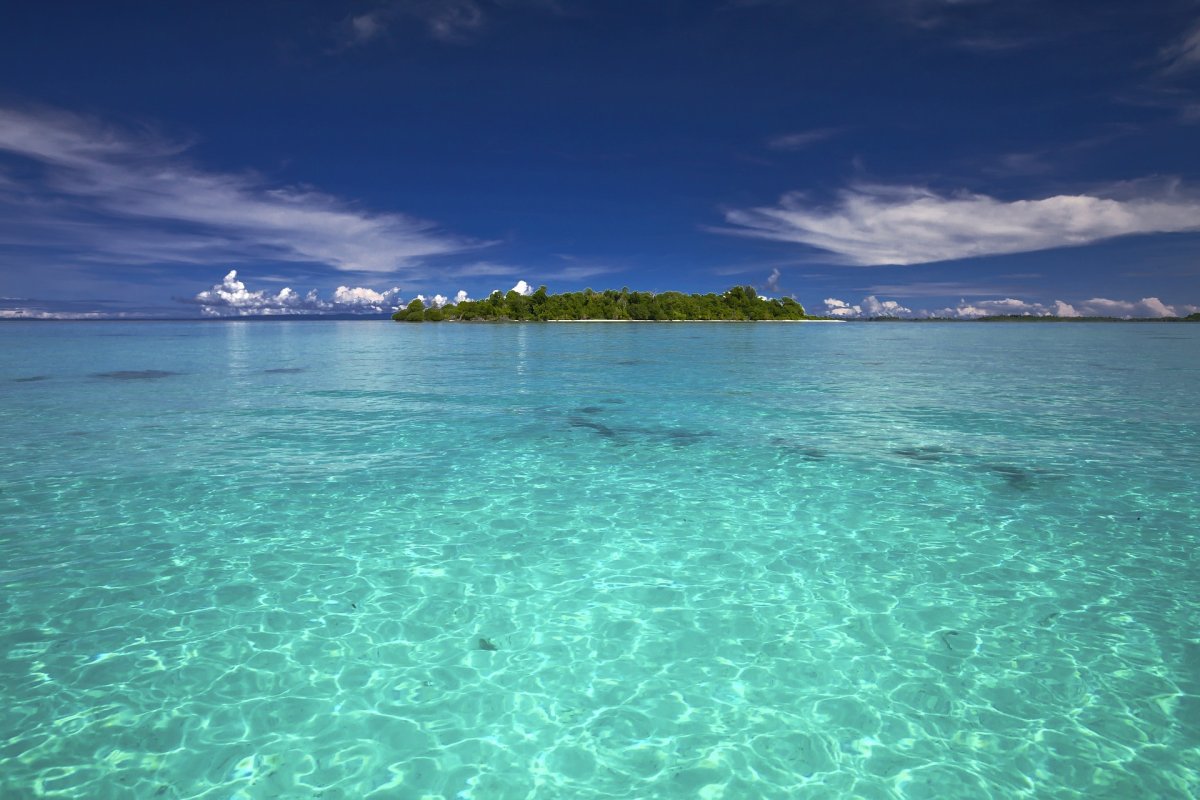 Коралловое море.