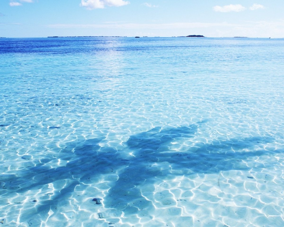 Прозрачная вода море