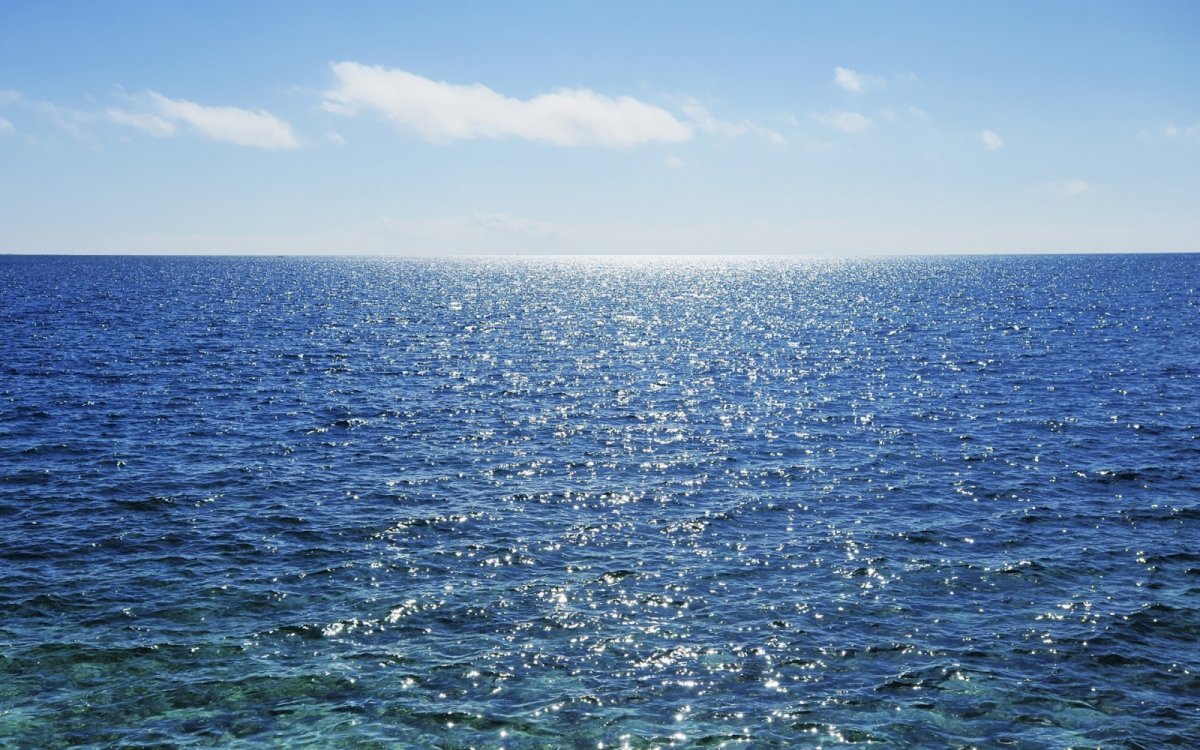 Безбрежное Саргассово море