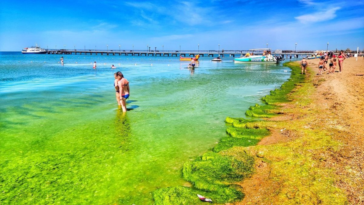Анапа Витязево море сейчас 2022