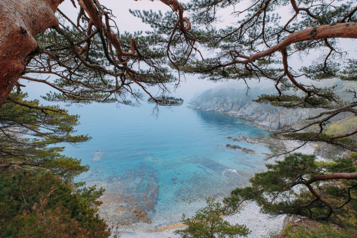 Море Приморье