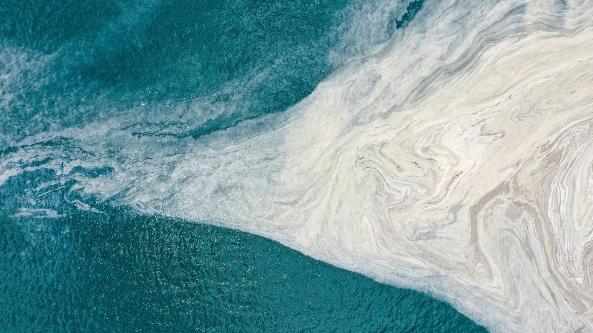 Marine mucilage