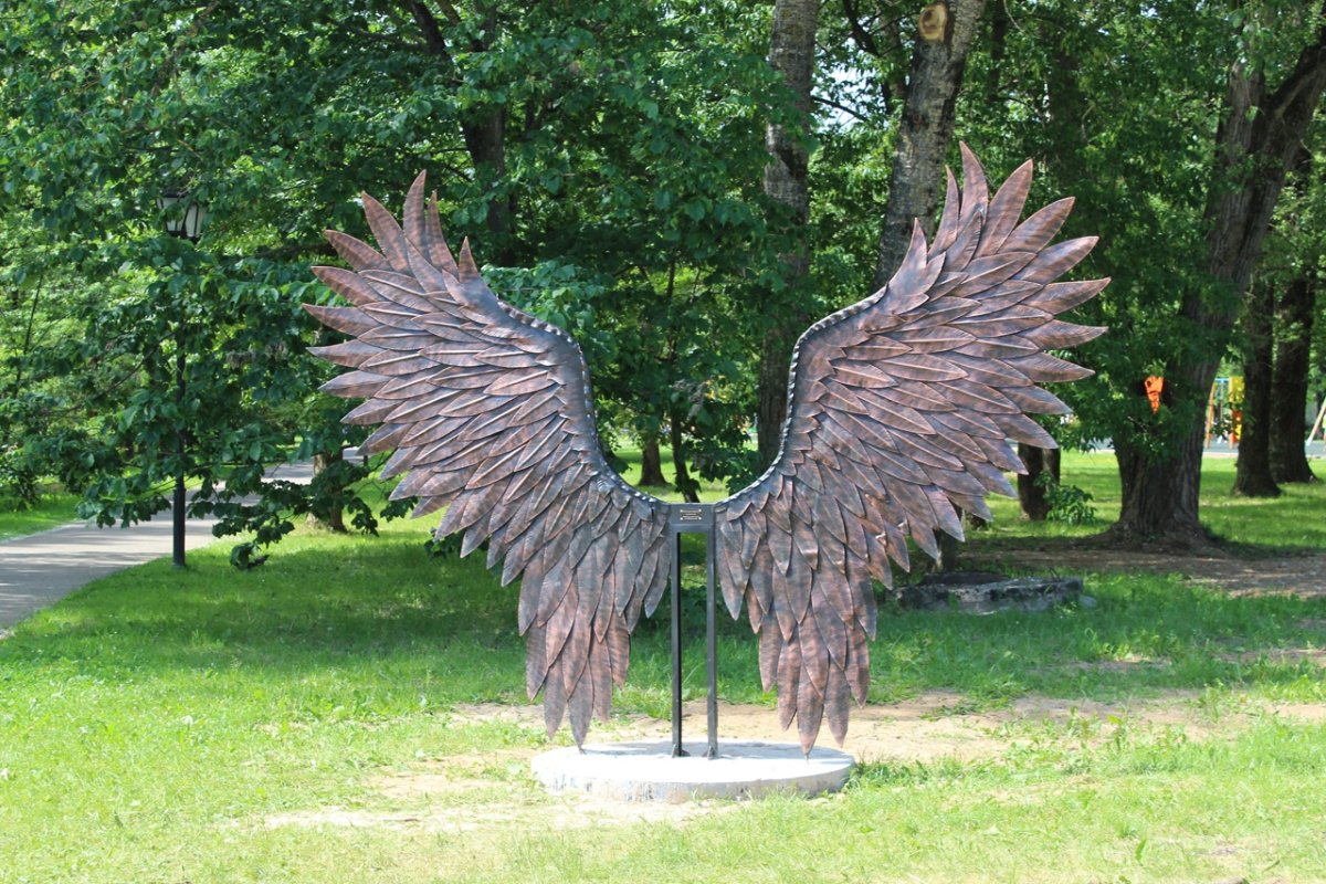 Крылья Великий Новгород парк 30