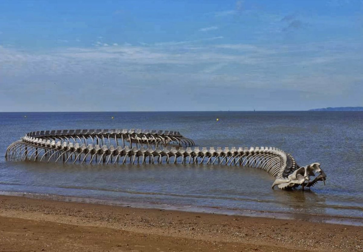 Карадагский морской змей