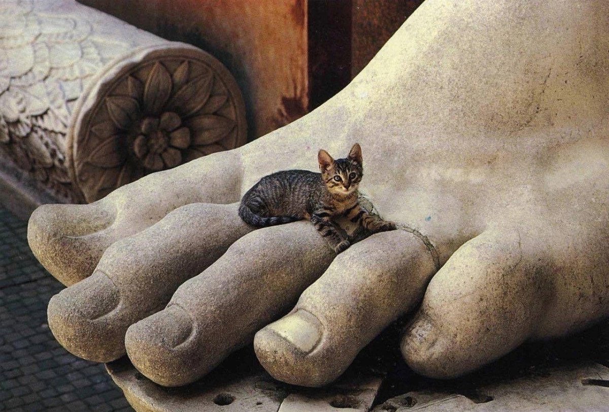 Коты сидят на скульптурах