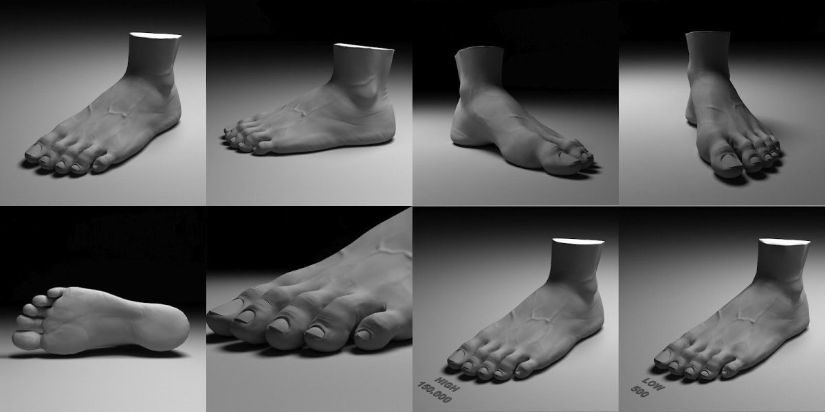 Feet Anatomy for sculptors