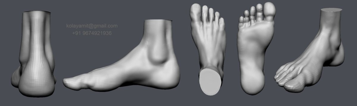 Анатомия стопы Zbrush